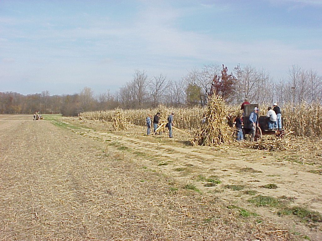 CornHarvest00-35