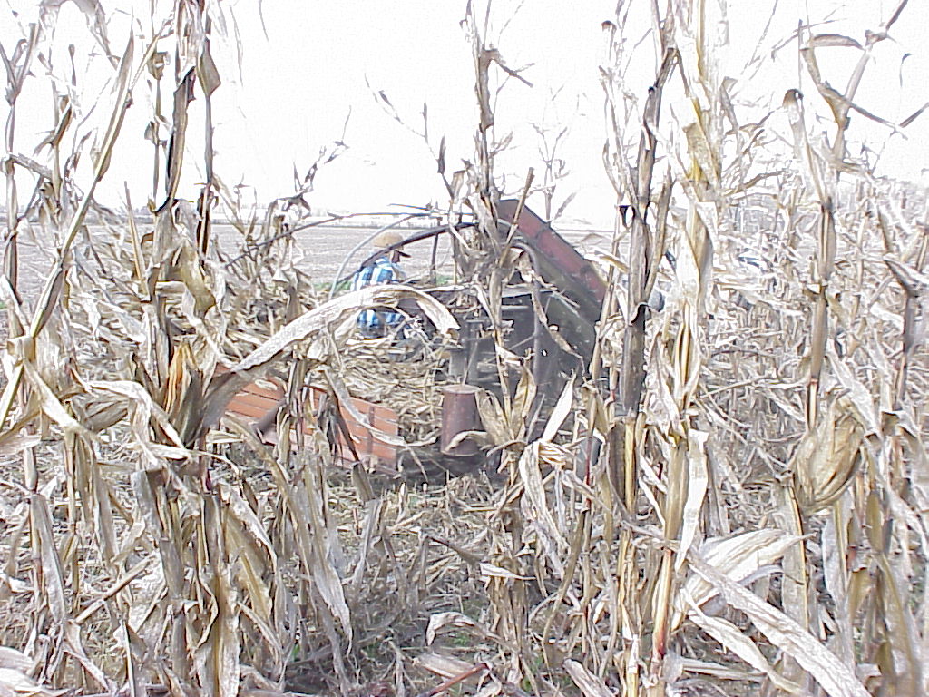 CornHarvest00-50
