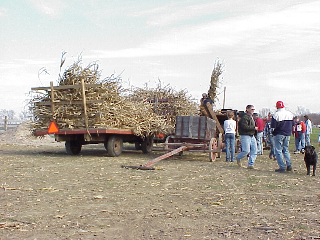 CornHarvest00-59