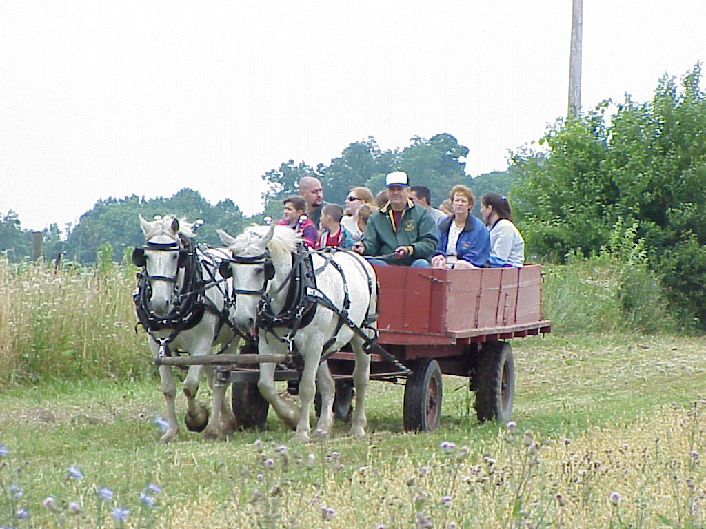 HarvestParty2001 35