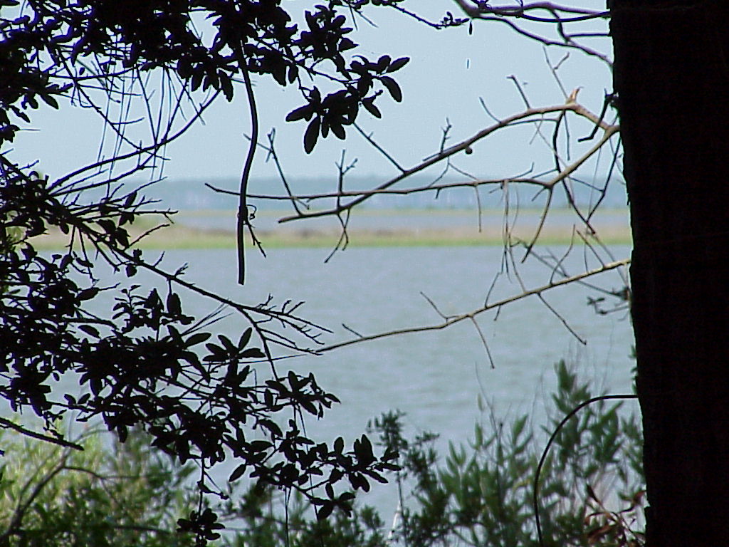 DavisBayouAreaNationalSeashore04