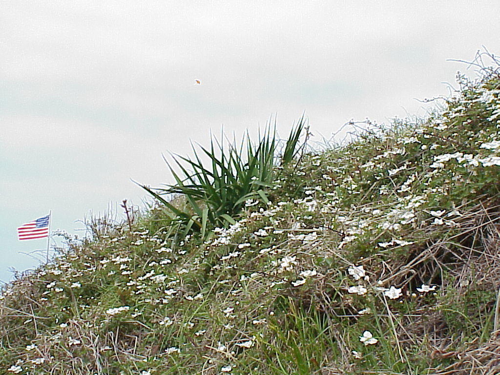 ShipIsland43-Fort Massachusetts