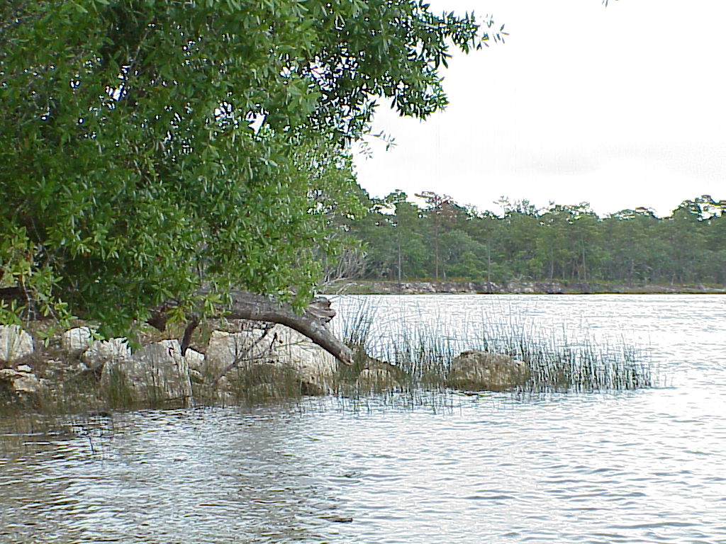 vac2002 009-Ochlockonee River