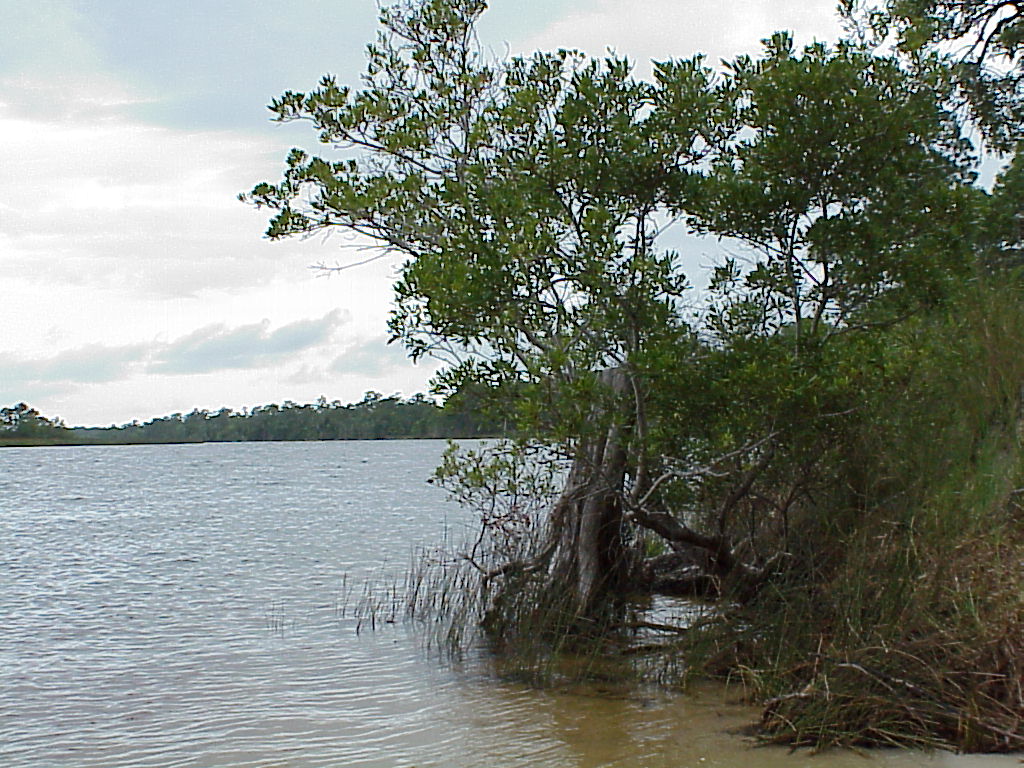 vac2002 010-Ochlockonee River