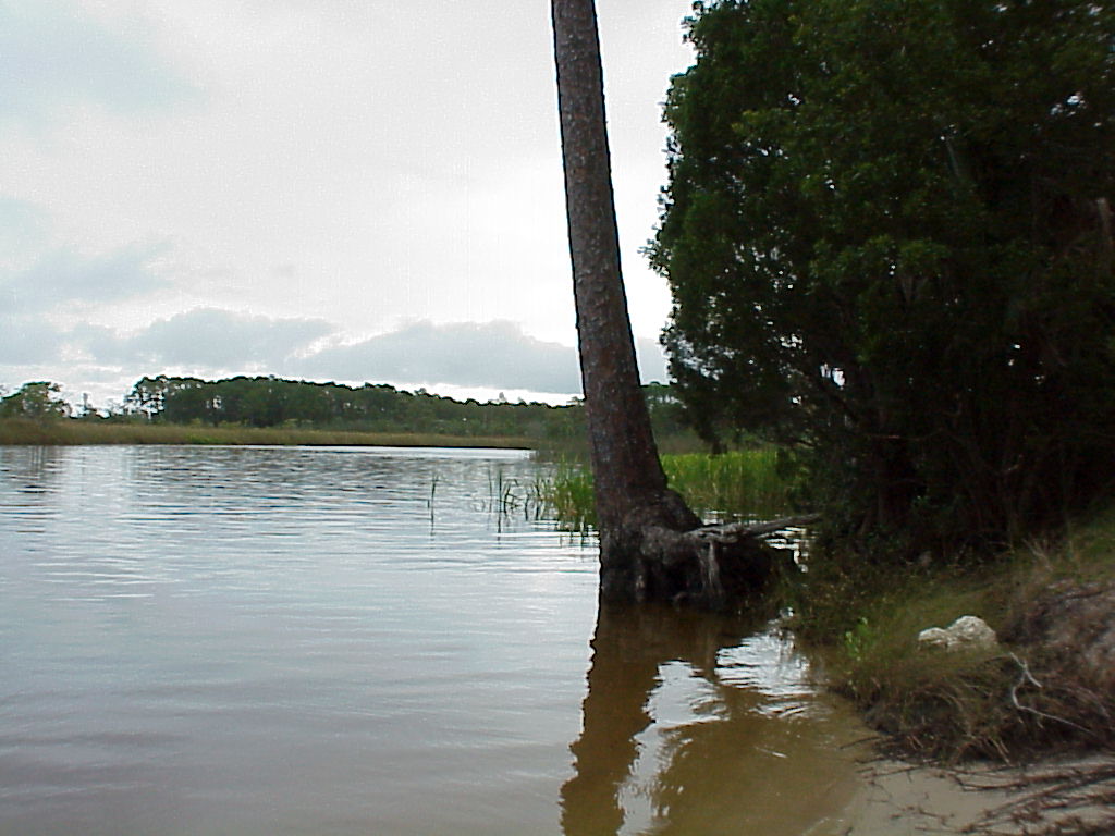 vac2002 012-Ochlockonee River