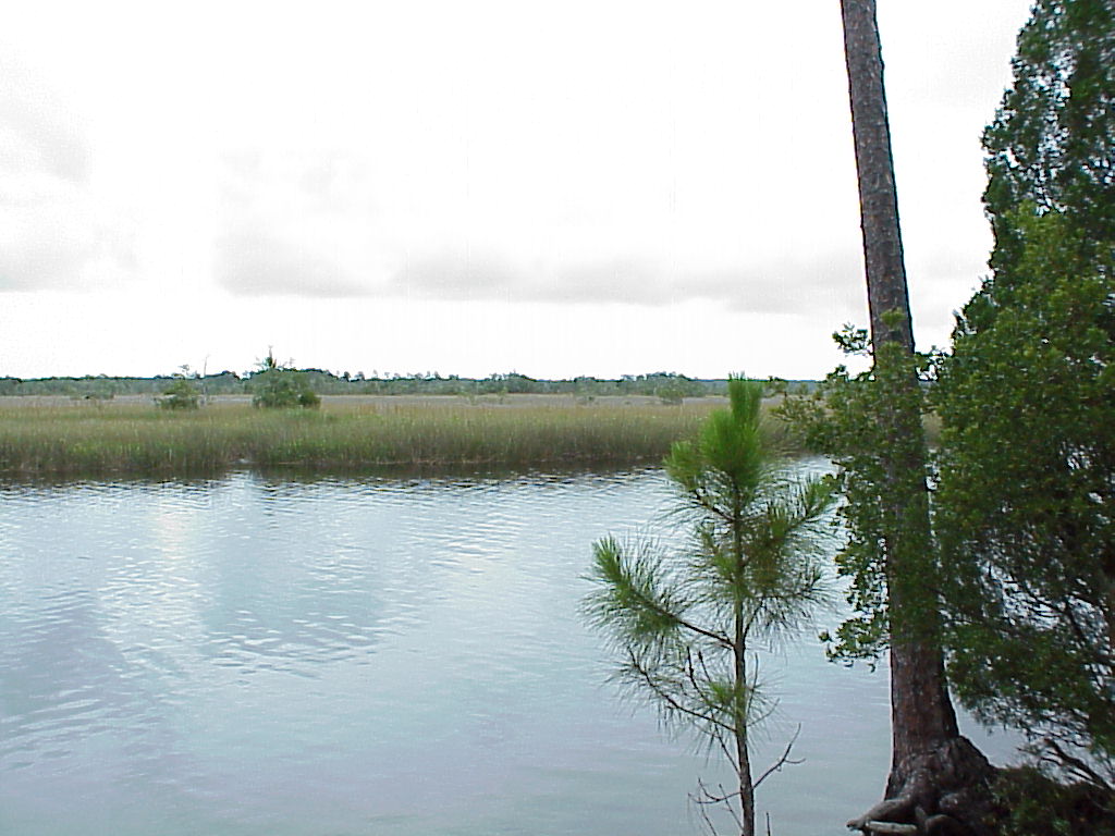 vac2002 013-Ochlockonee River