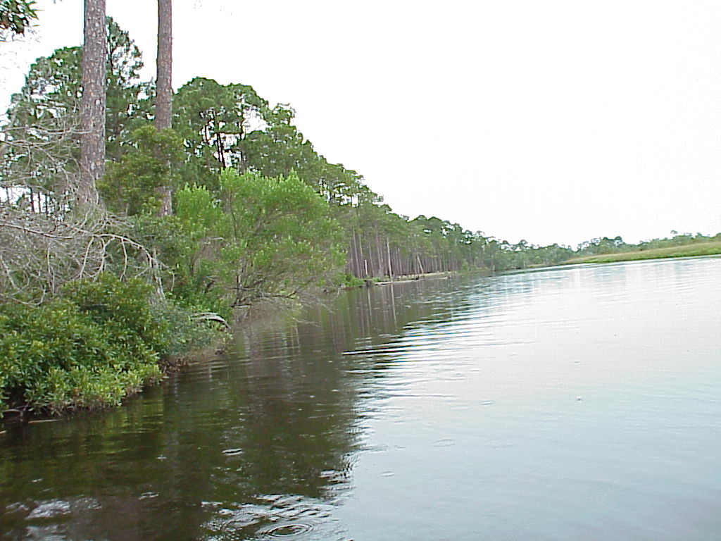 vac2002 014-Ochlockonee River