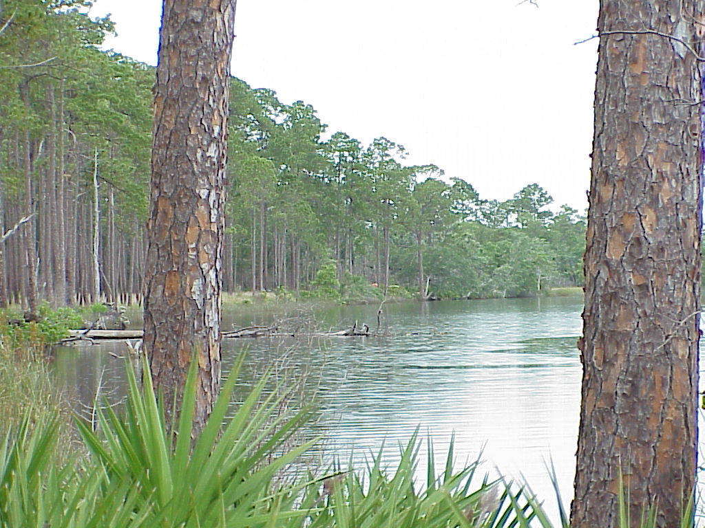 vac2002 015-Ochlockonee River