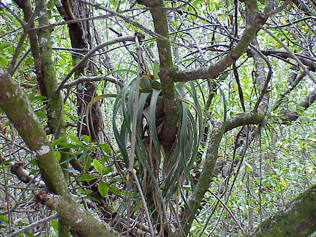 vac2002 070-Everglades City