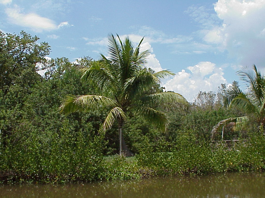 vac2002 072-Everglades City