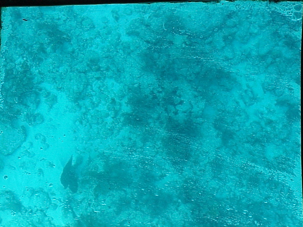 vac2002 084-Glass Bottom Boat