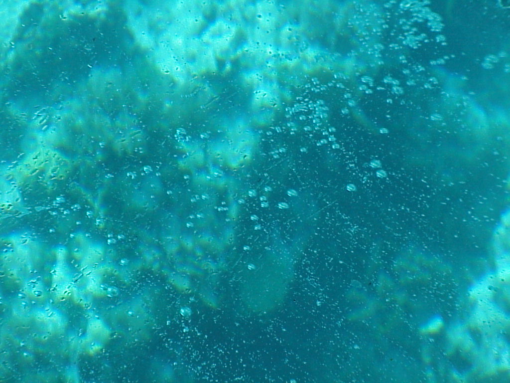 vac2002 085-Glass Bottom Boat