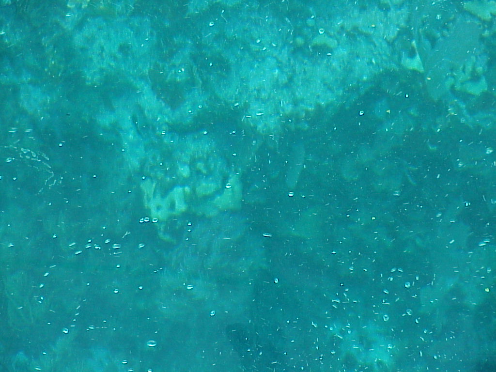 vac2002 099-Glass Bottom Boat