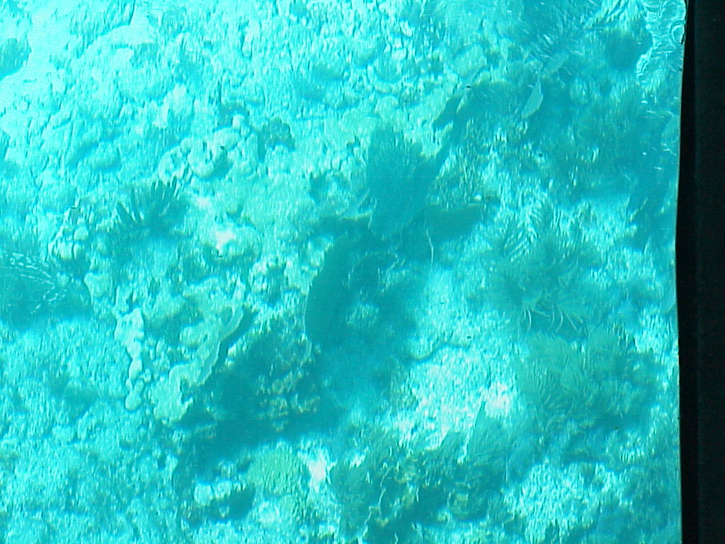 vac2002 110-Glass Bottom Boat