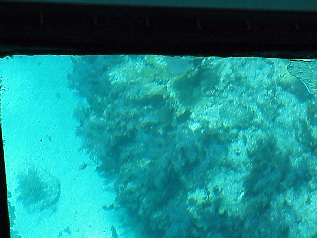 vac2002 113-Glass Bottom Boat