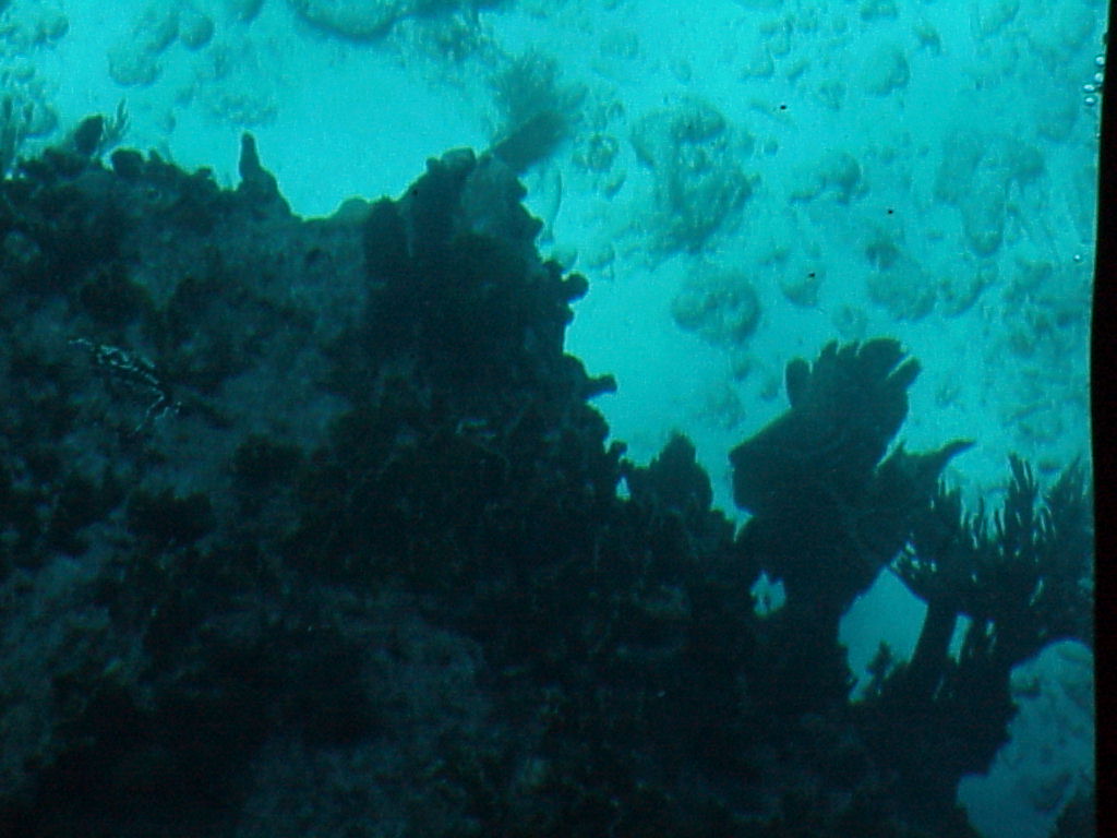 vac2002 114-Glass Bottom Boat