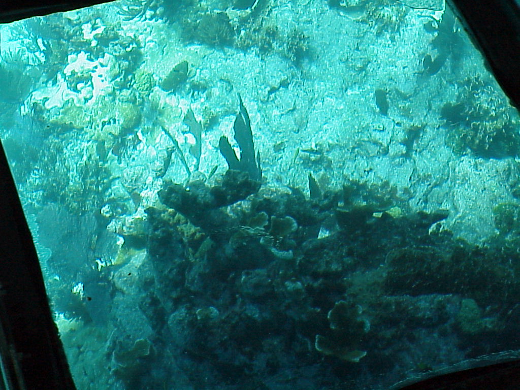 vac2002 115-Glass Bottom Boat