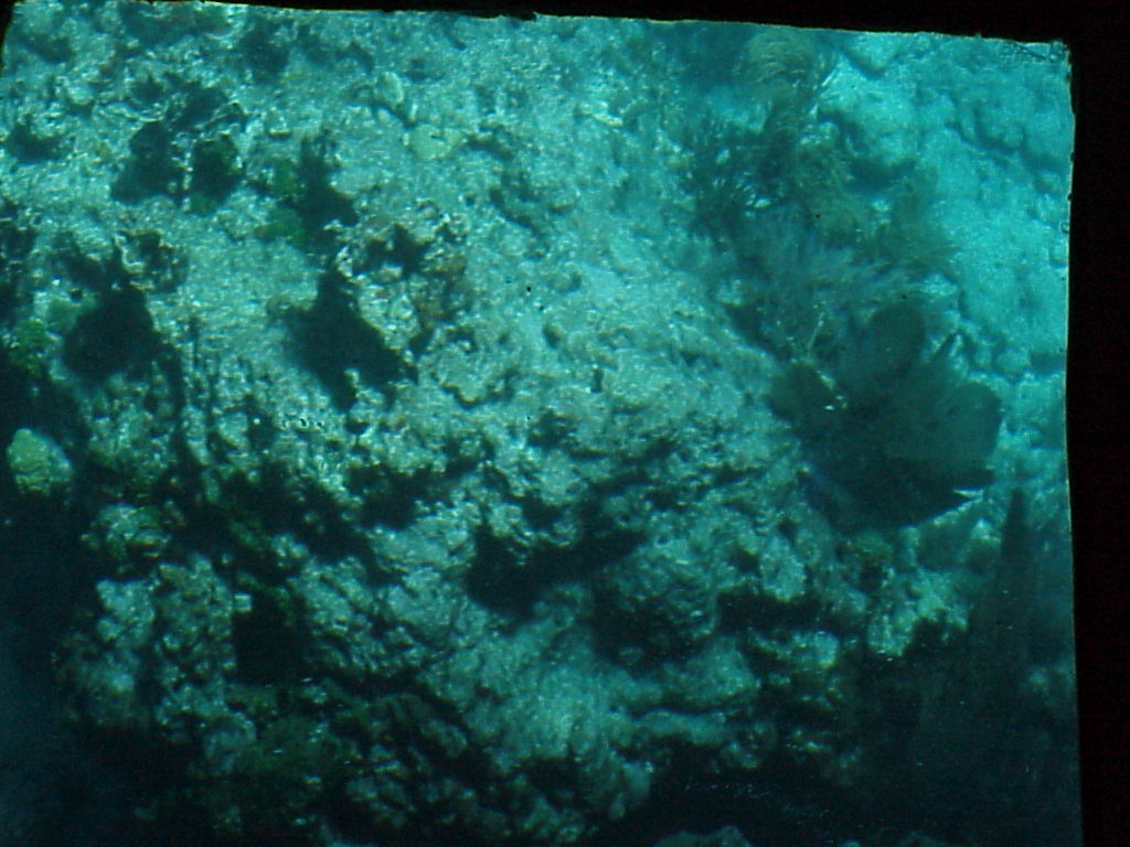 vac2002 117-Glass Bottom Boat