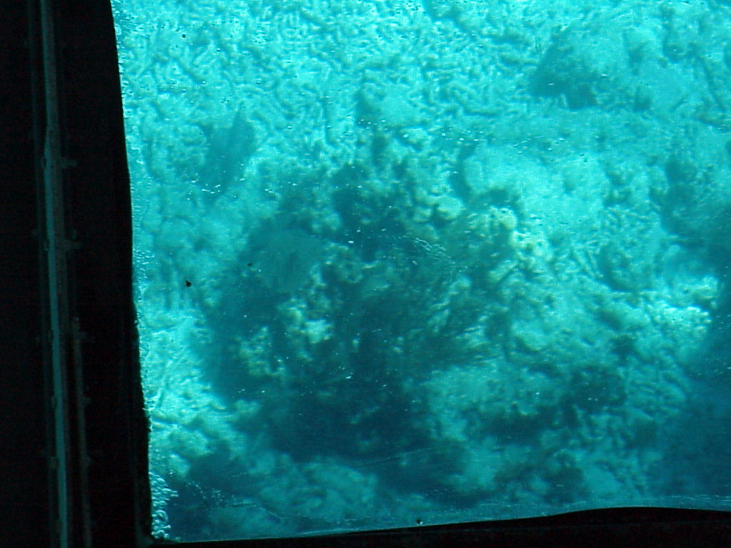 vac2002 119-Glass Bottom Boat