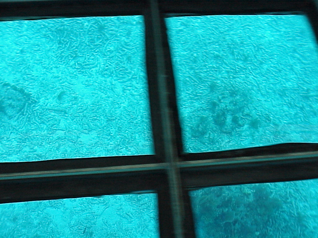 vac2002 120-Glass Bottom Boat