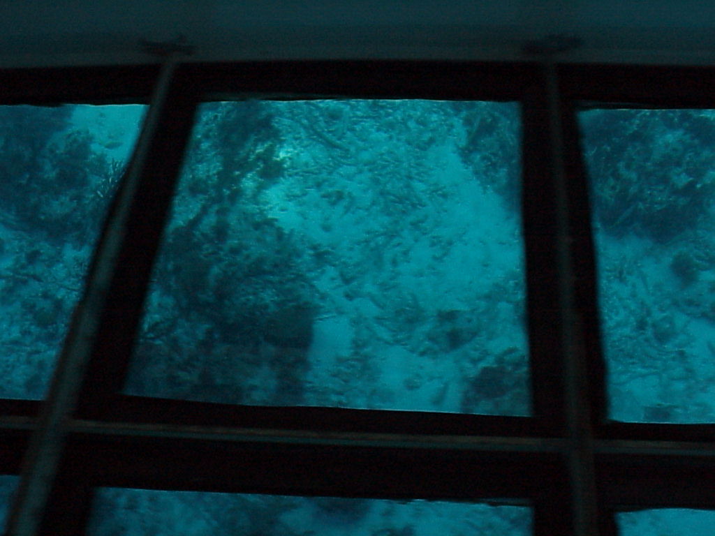 vac2002 121-Glass Bottom Boat