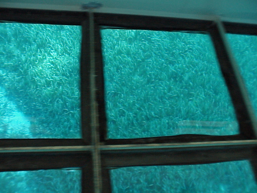 vac2002 122-Glass Bottom Boat