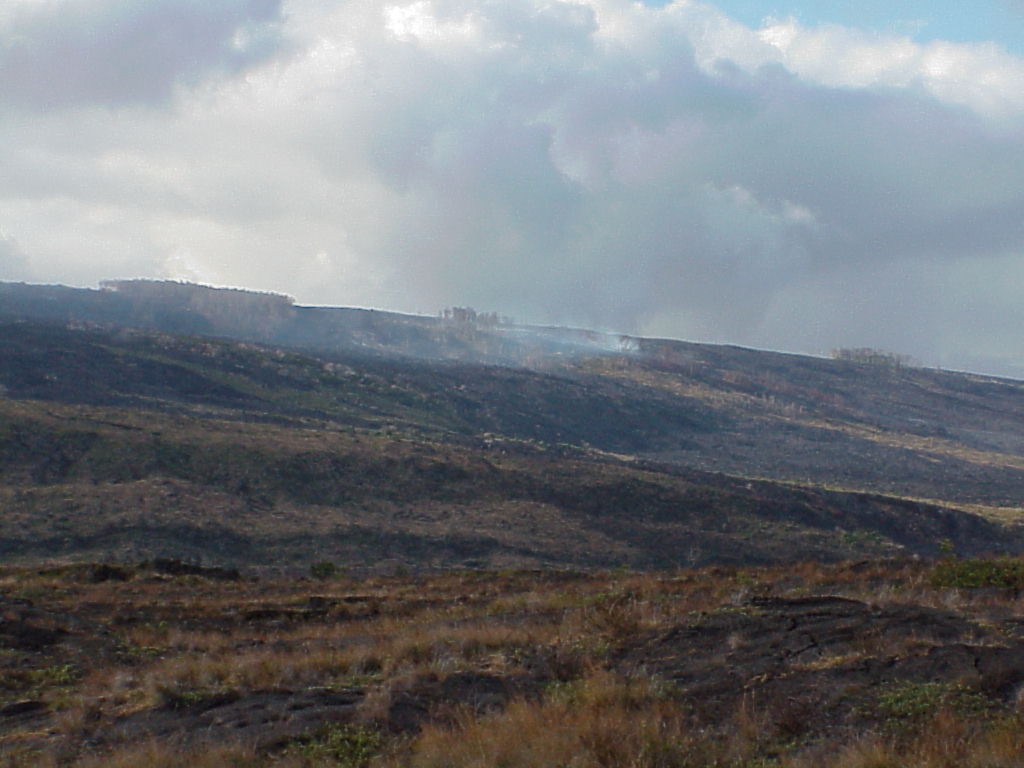 Hawaii2003 049-Kilauea Lava Flows