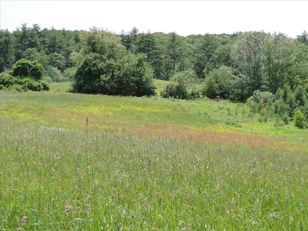 Maine196-GreatSaltBayFarm