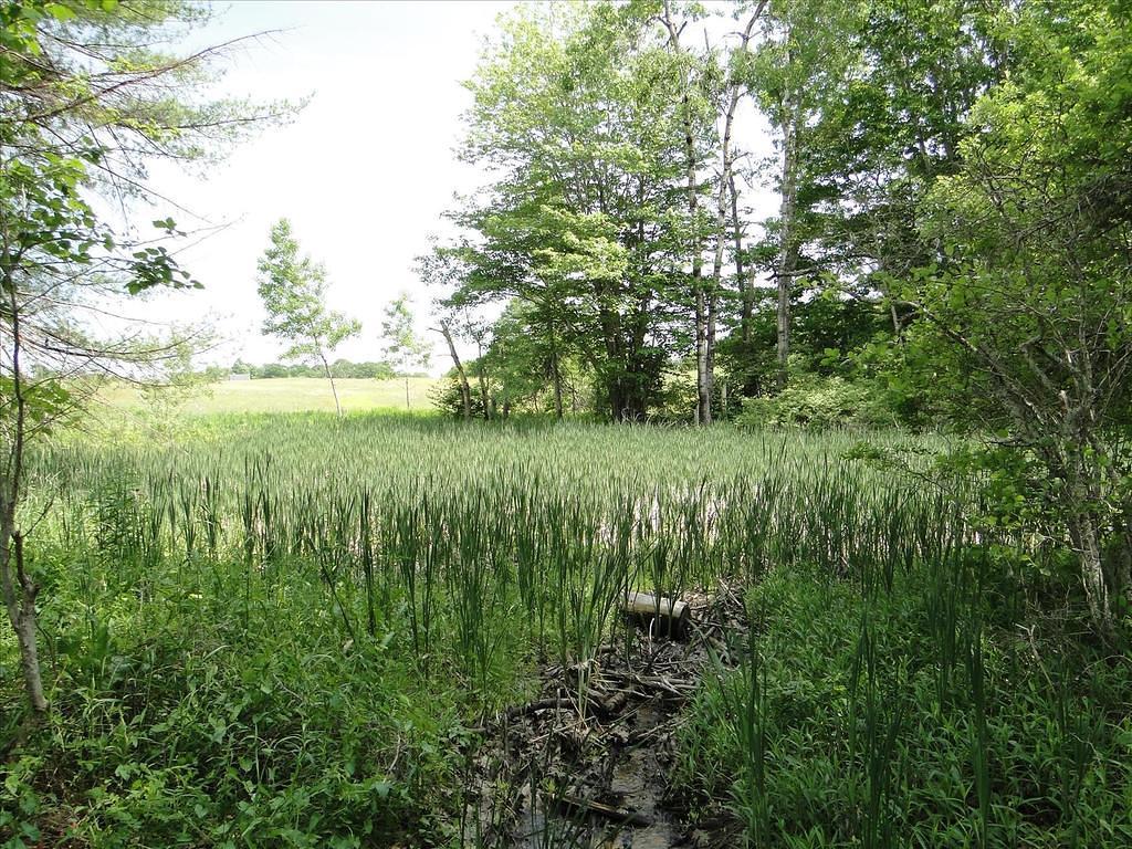 Maine206-GreatSaltBayFarm