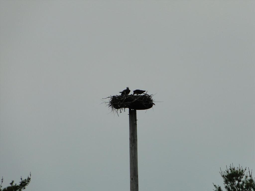 Maine207-GreatSaltBayFarm