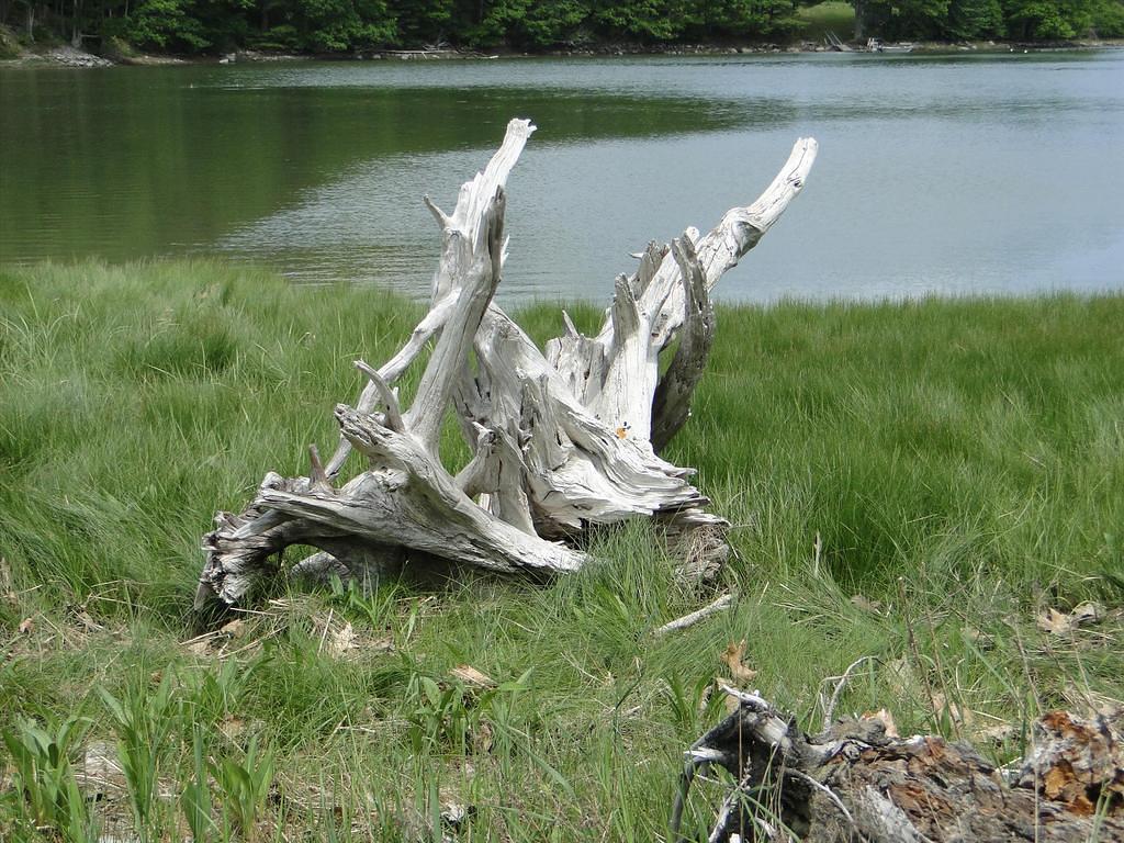 Maine208-GreatSaltBayFarm