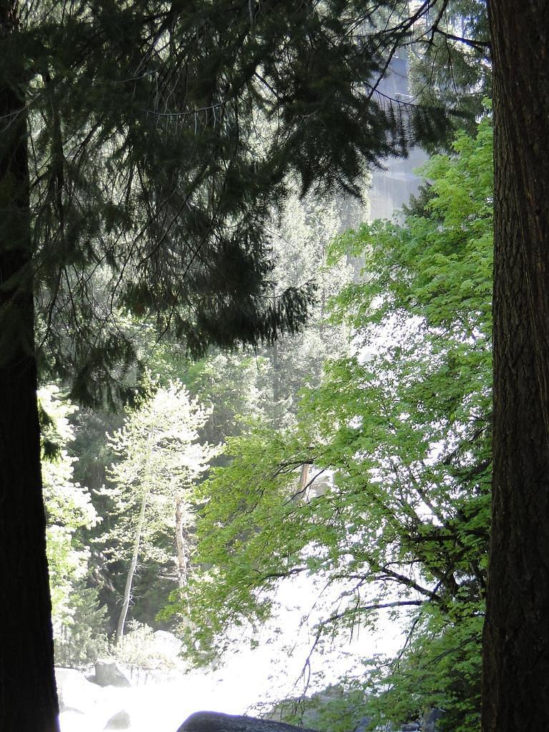 Vernal-NevadaFalls16