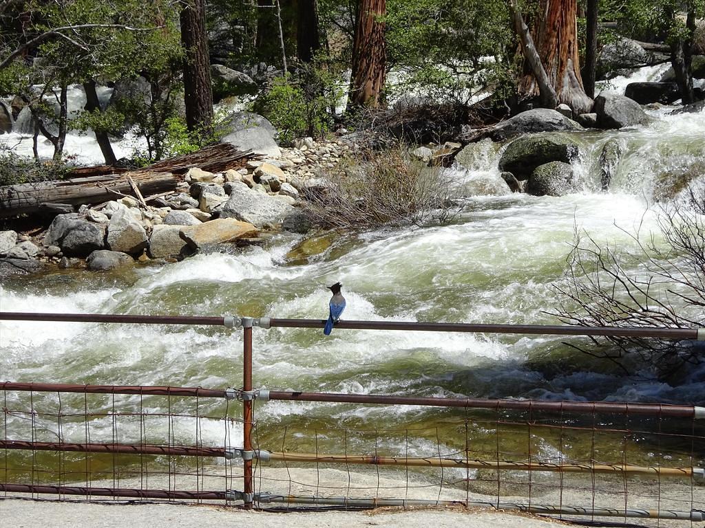 Vernal-NevadaFalls43