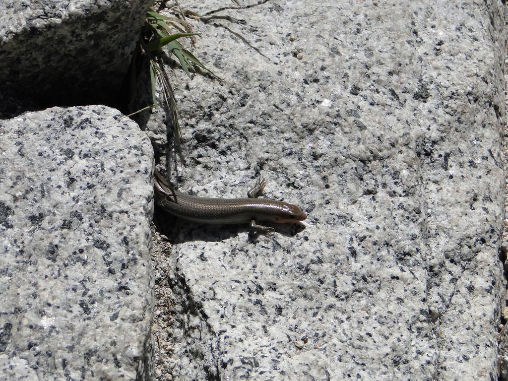 Vernal-NevadaFalls80