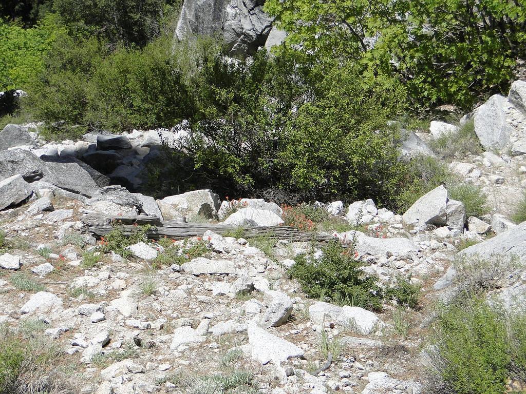 Vernal-NevadaFalls85