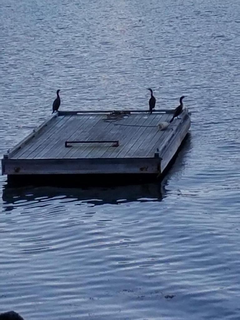 Maine16 031-ThompsonCottage