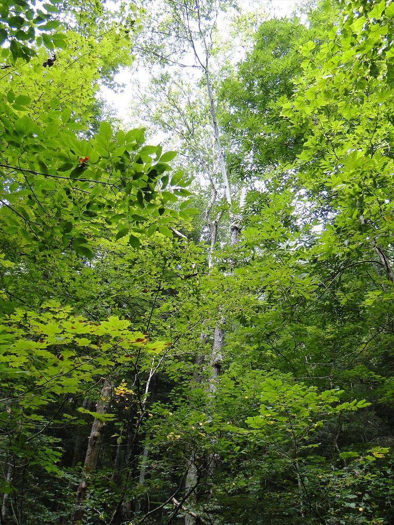 29-HockingHillsVacation