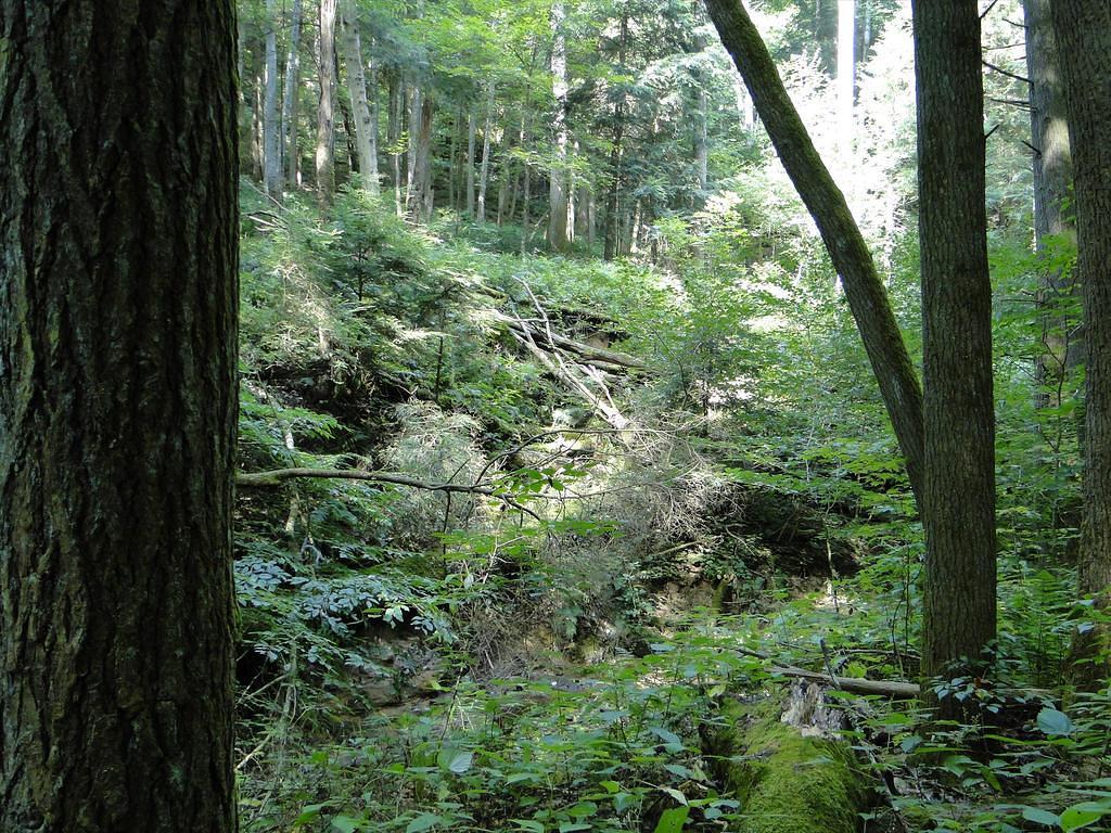 30-HockingHillsVacation