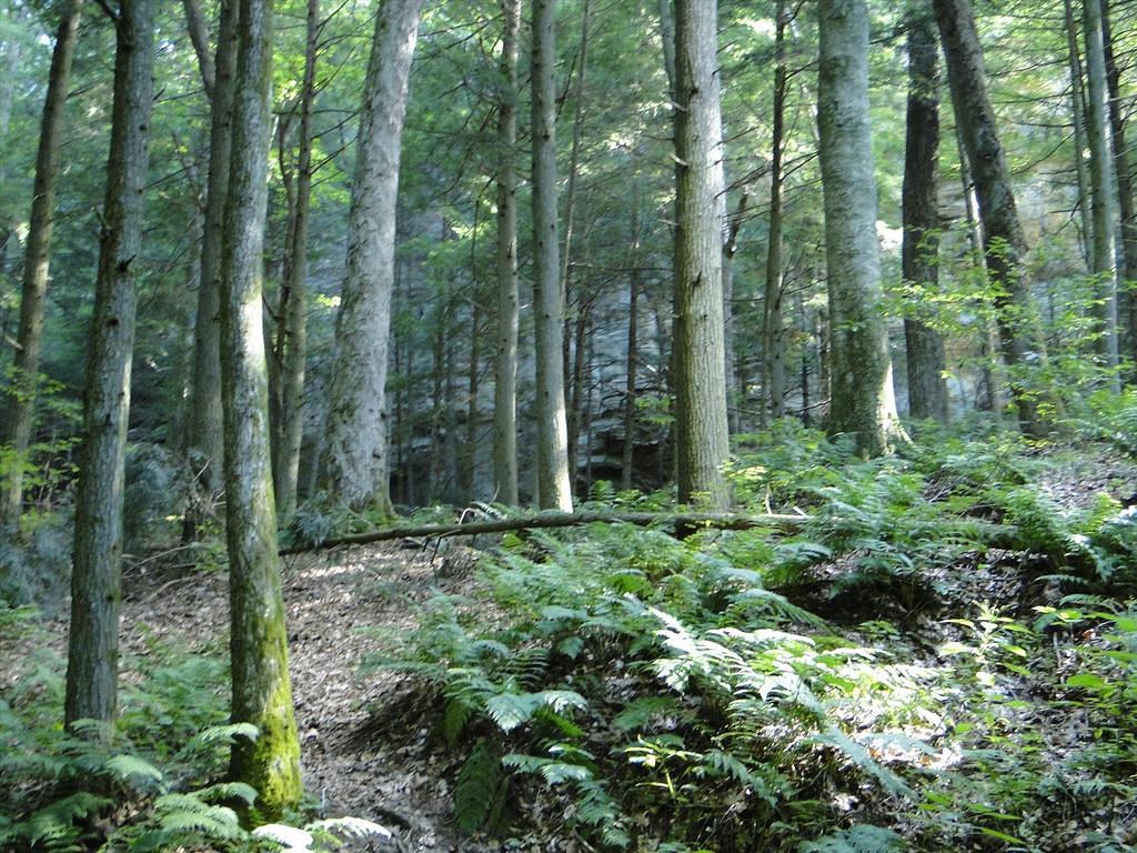 33-HockingHillsVacation