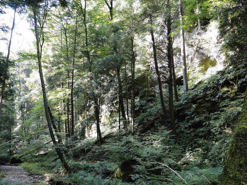 36-HockingHillsVacation