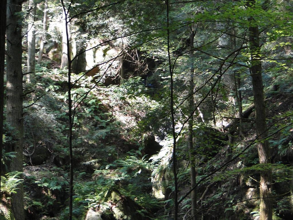 37-HockingHillsVacation