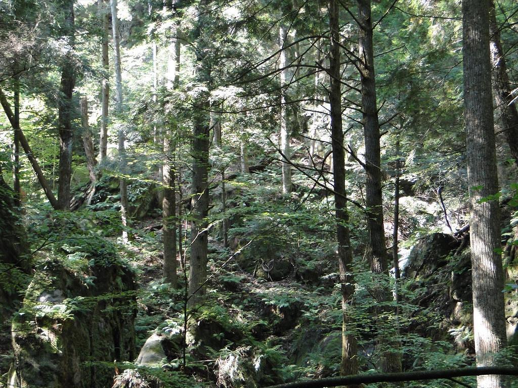 38-HockingHillsVacation