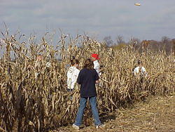 CornHarvest00-41