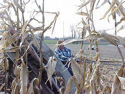 CornHarvest00-49
