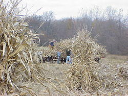 CornHarvest00-54