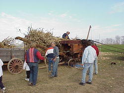 CornHarvest00-63