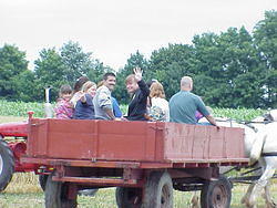 HarvestParty2001 30