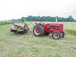 HarvestParty2001 31