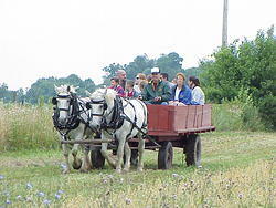 HarvestParty2001 35