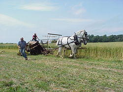 HarvestParty2001 47